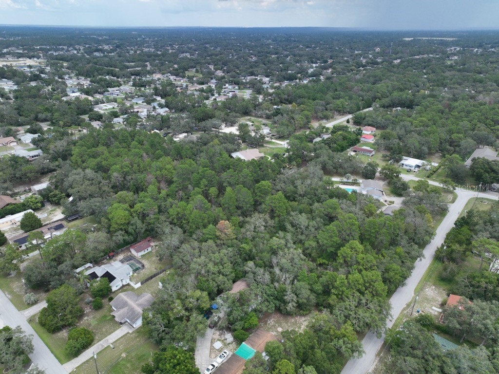 Centerwood Avenue Spring Hill FL 34606 TB8450965 image7