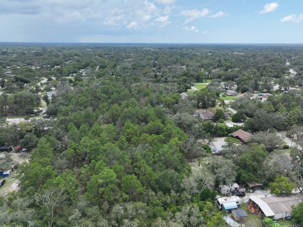 Centerwood Avenue Spring Hill FL 34606 TB8450965 image9