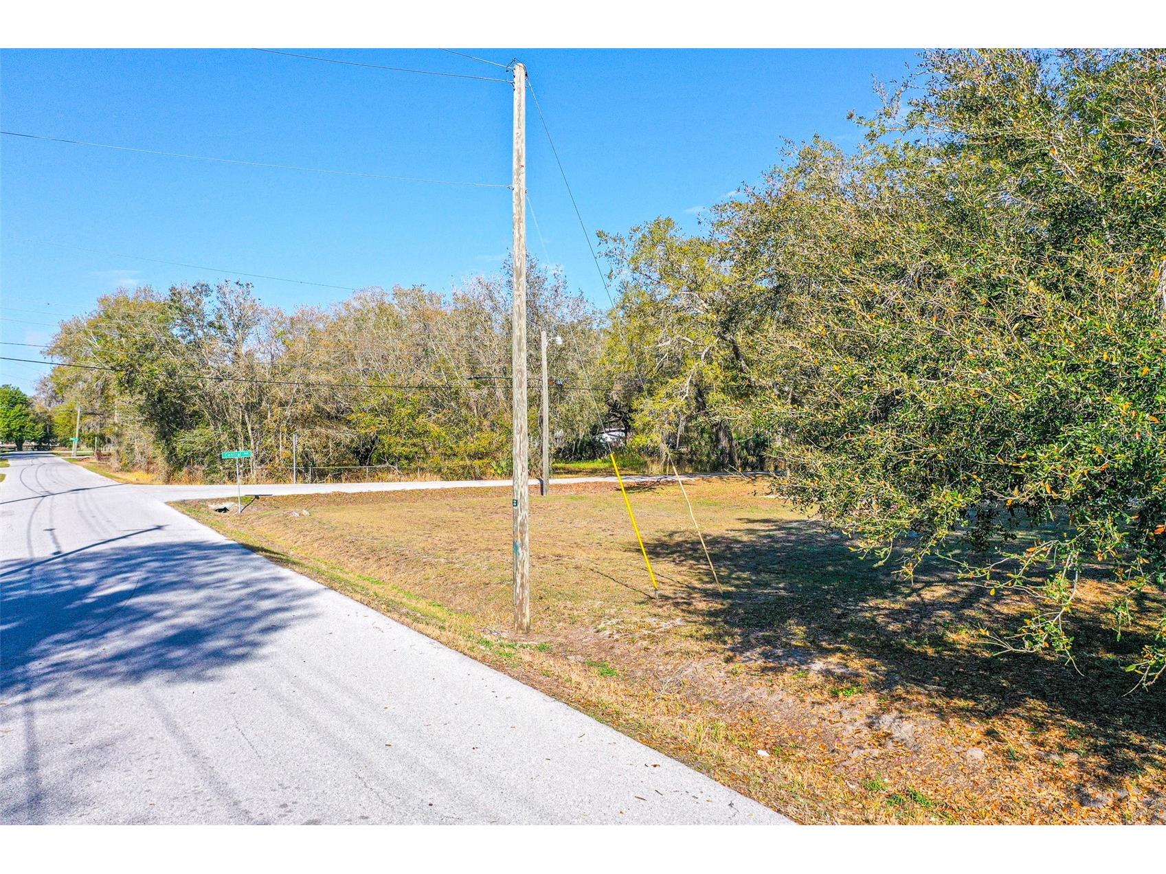 Central Avenue Mulberry FL 33860 L4959912 image2