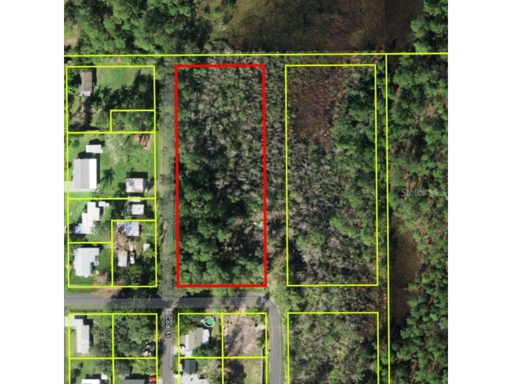 Central Avenue Saint Cloud FL 34771 O6363812 image3