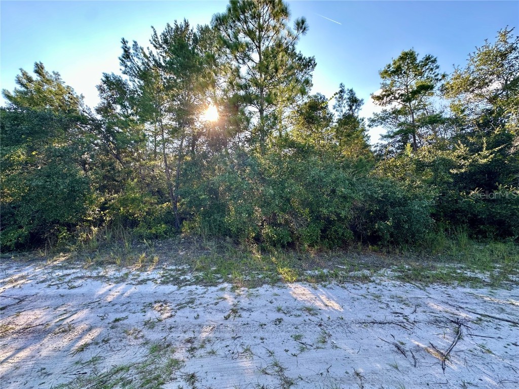 Central Parkway Deland FL 32724 V4938942 image1