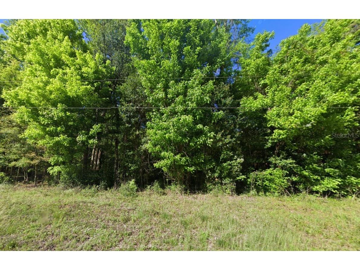 Central Terrace Fort White FL 32038 OK224771 image1