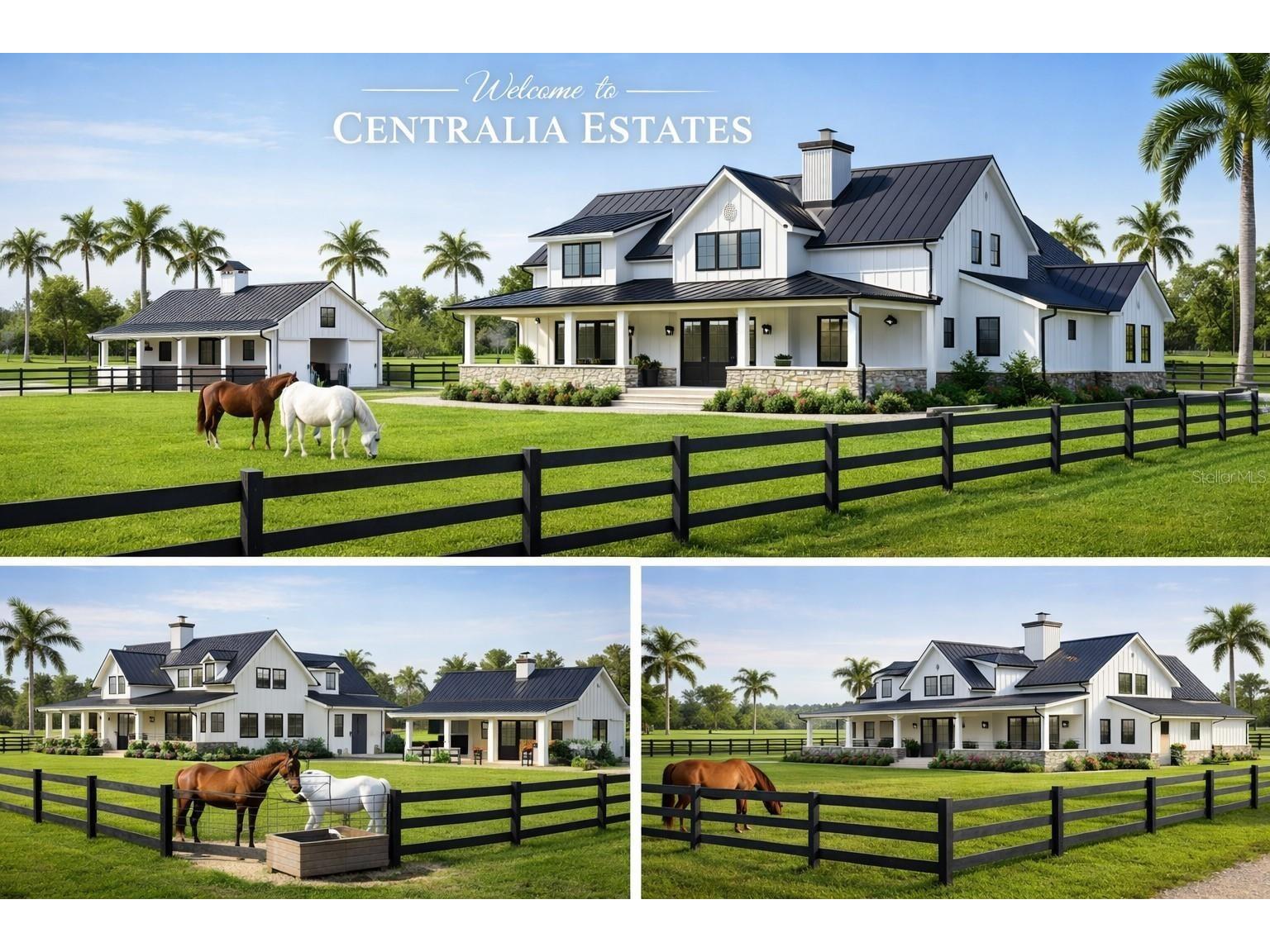 Centralia (Lot 3) Road Brooksville FL 34614 W7883640 image5