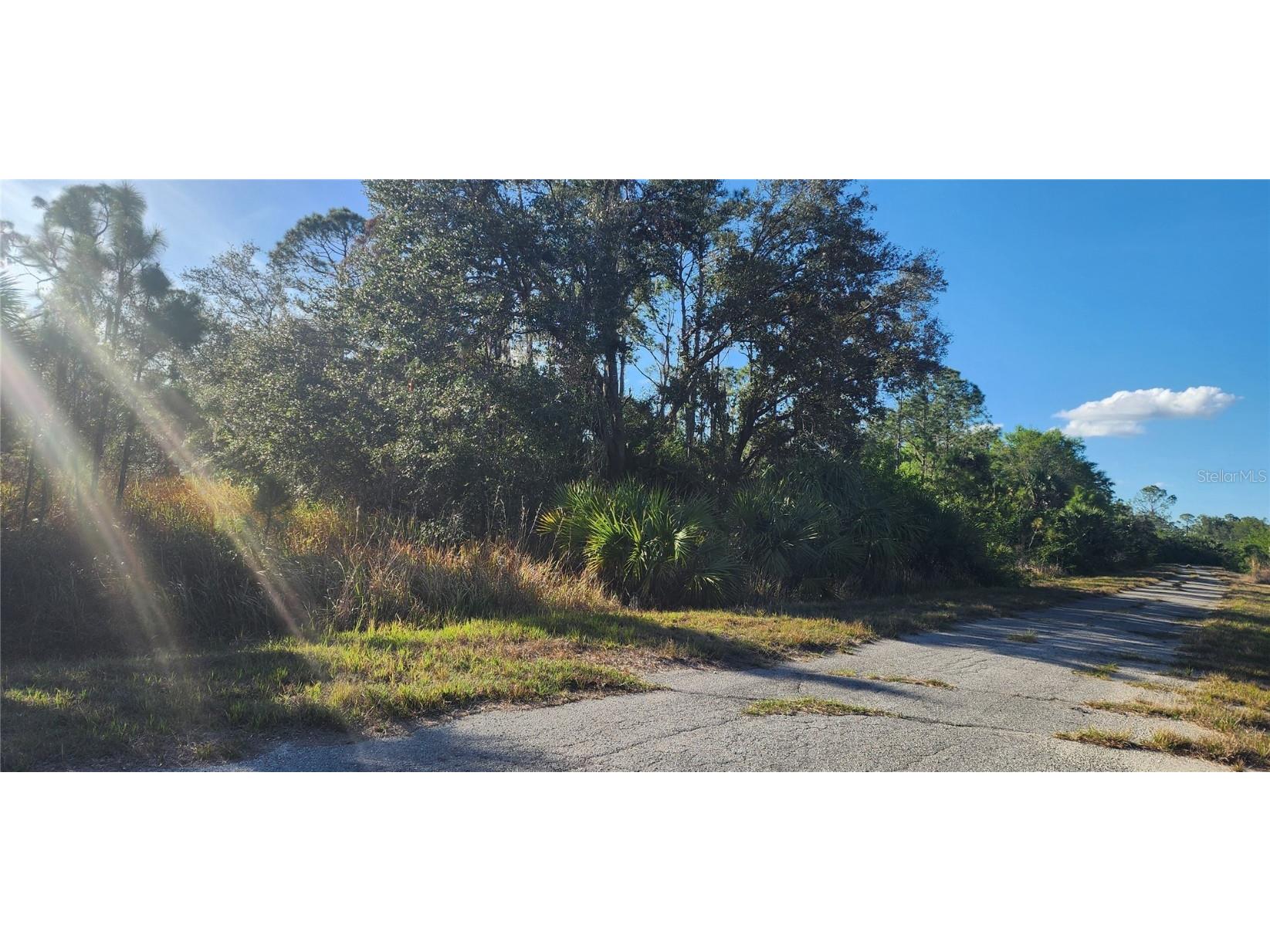 Ceriman Road North Port FL 34288 D6140847 image2