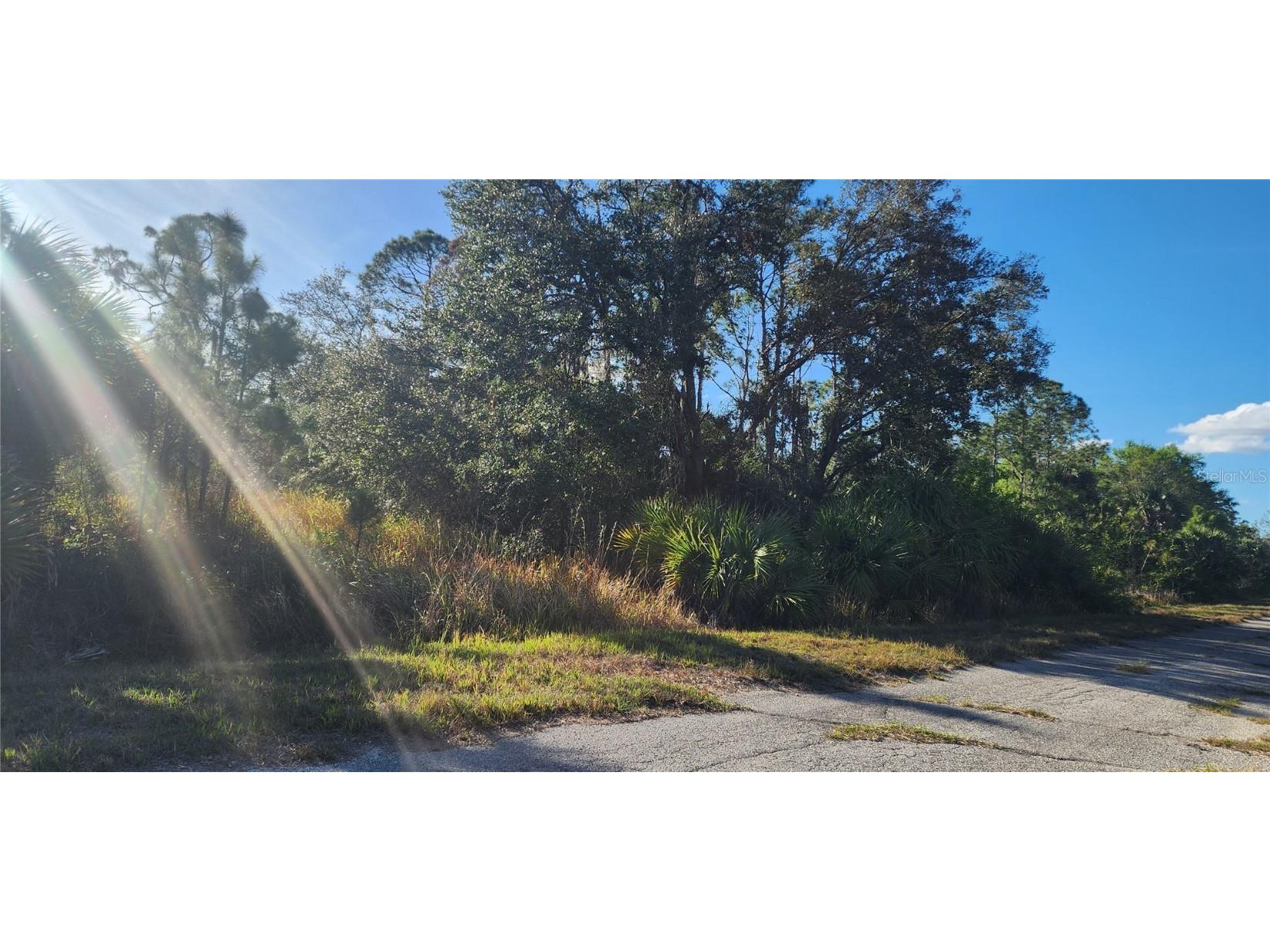 Ceriman Road North Port FL 34288 D6140847 image3