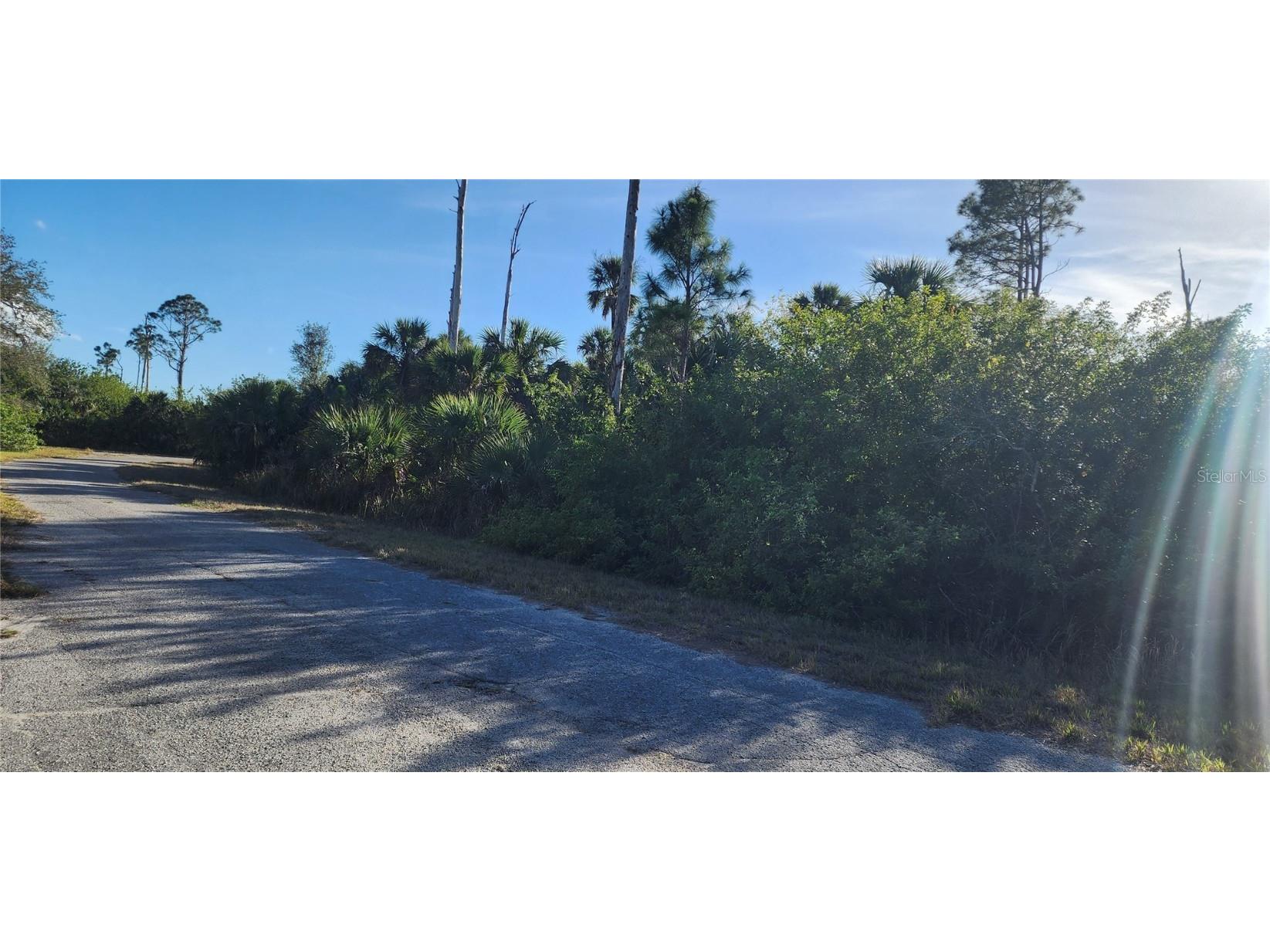 Ceriman Road North Port FL 34288 D6140847 image6