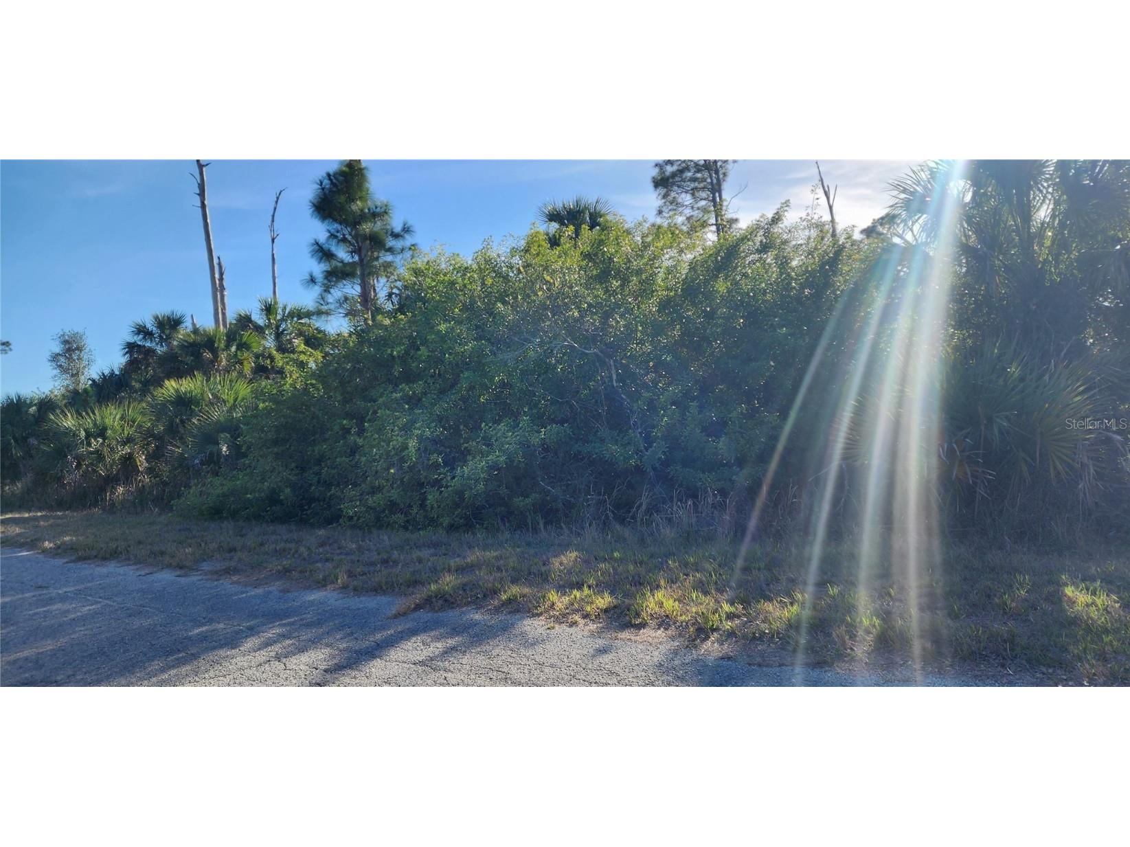 Ceriman Road North Port FL 34288 D6140847 image7