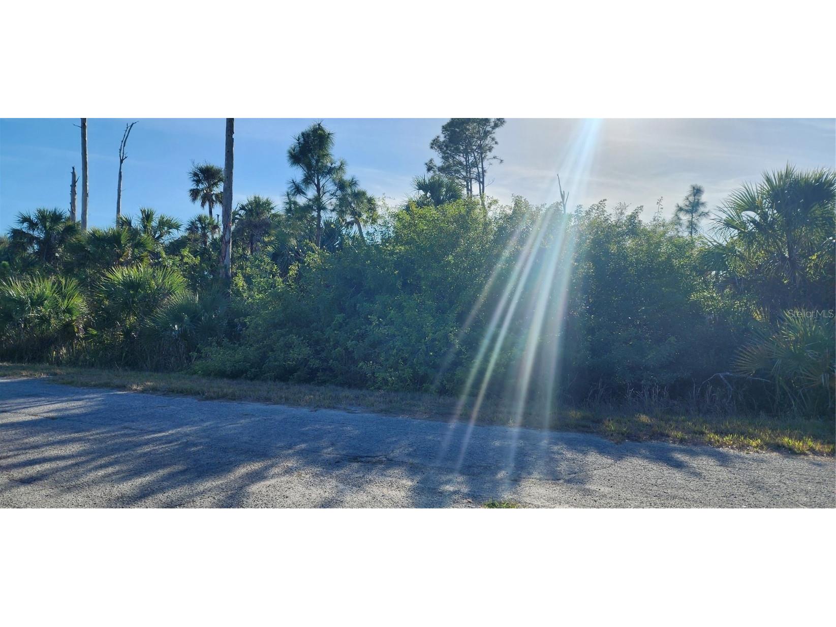 Ceriman Road North Port FL 34288 D6140847 image8