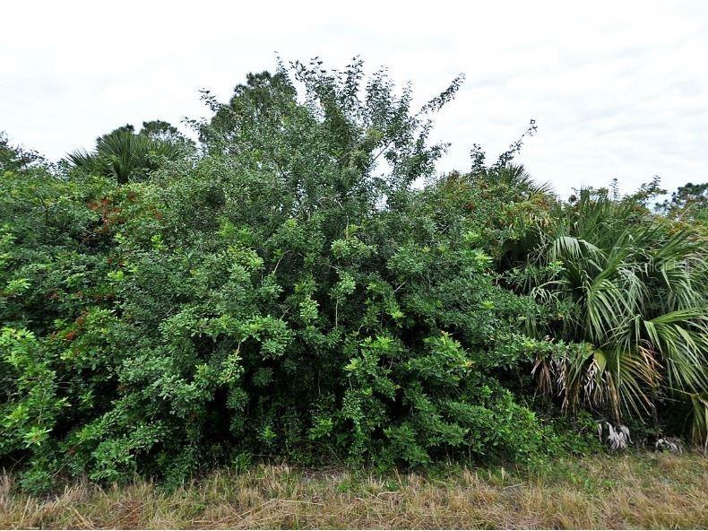 Ceriman Road North Port FL 34288 O6231375 image2