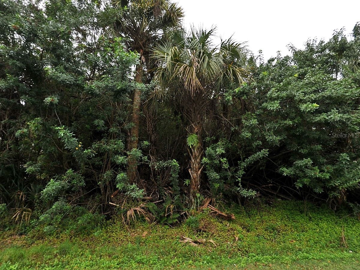 Champagne Avenue North Port FL 34287 C7526454 image2