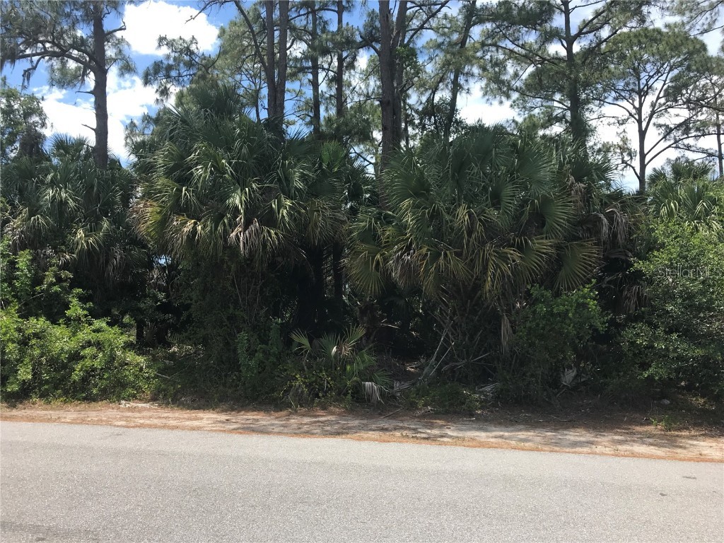 Chaplin Terrace North Port FL 34286 N6115468 image1