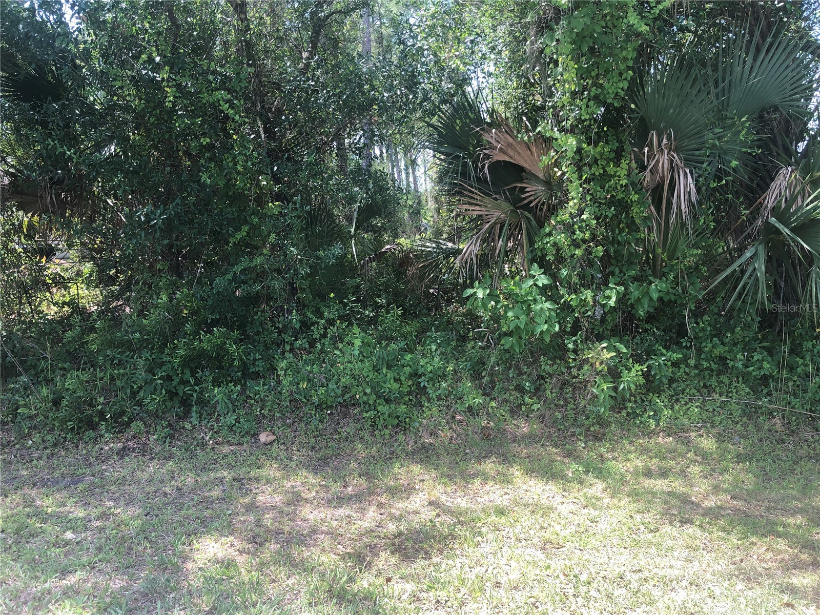 Charland Avenue North Port FL 34291 C7525683 image1