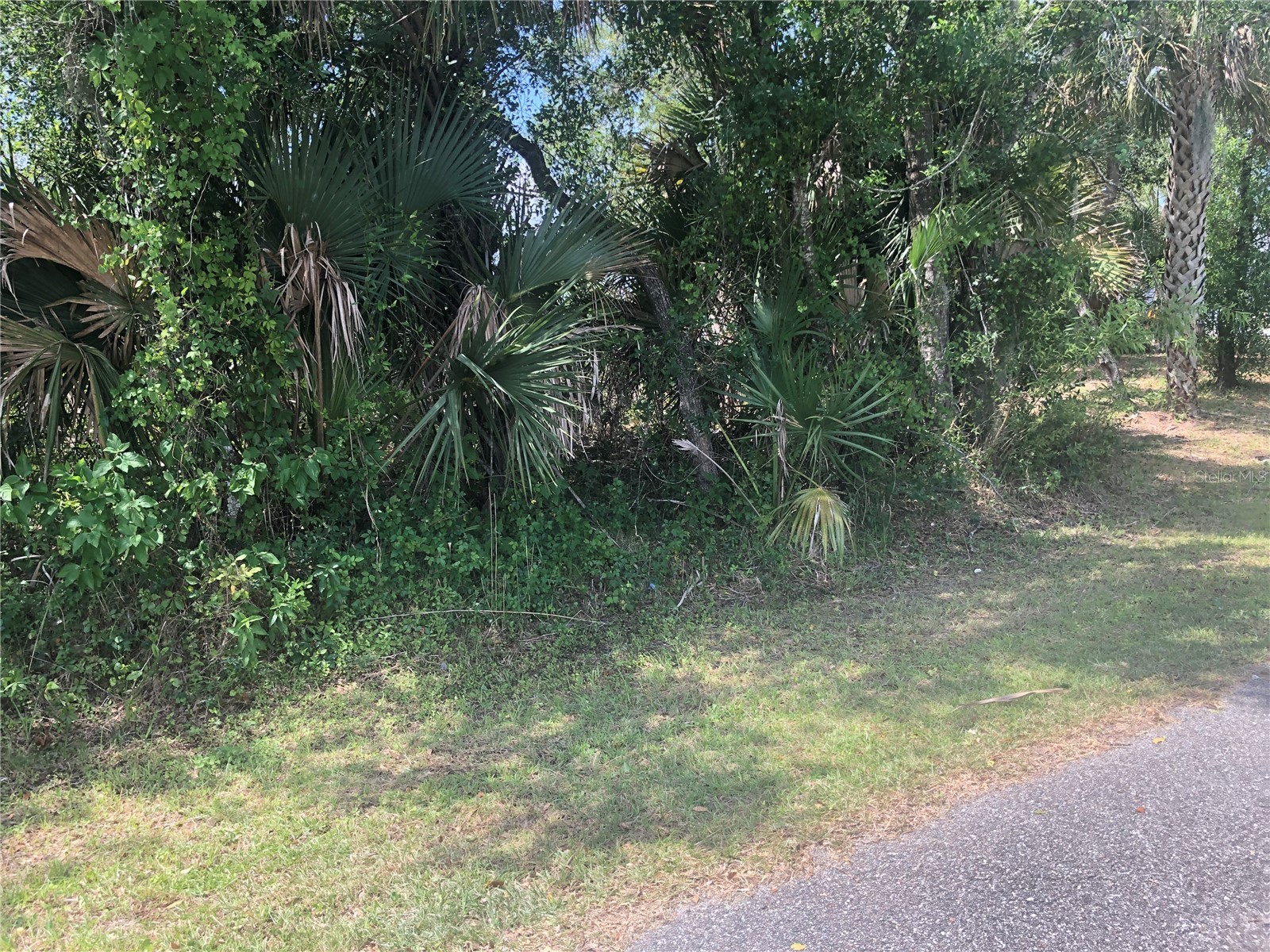 Charland Avenue North Port FL 34291 C7525683 image2