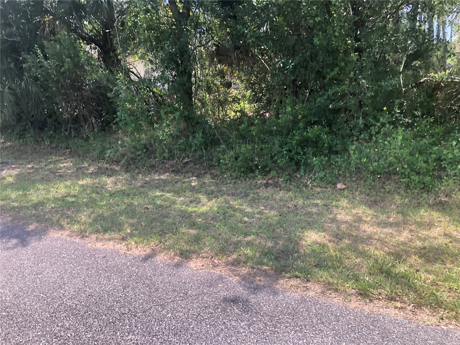 Charland Avenue North Port FL 34291 C7525683 image3