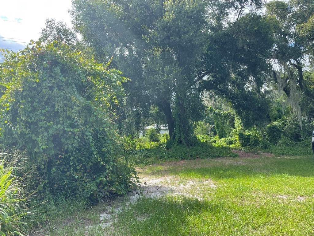 Charles Avenue Groveland FL 34736 O6240617 image1