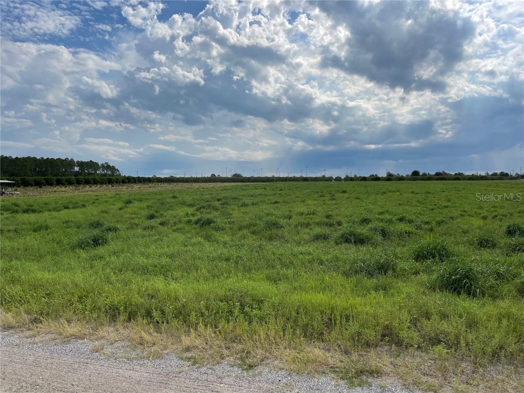 Charles Osborne Road Umatilla FL 32784 O6152369 image1
