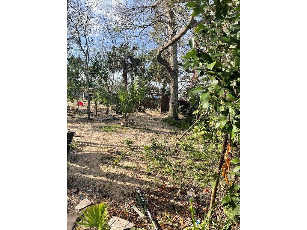 Charlovix Street New Smyrna Beach FL 32168 V4930179 image1