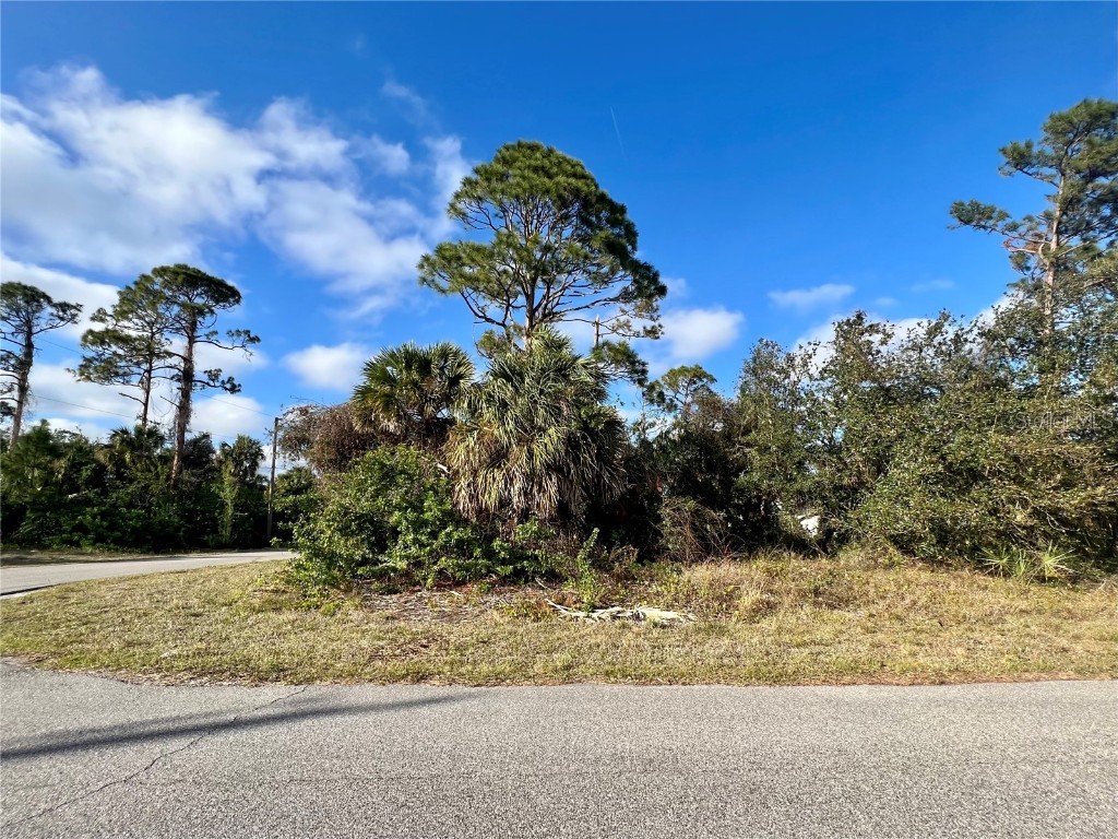 Chartwell Avenue North Port FL 34288 C7488455 image1