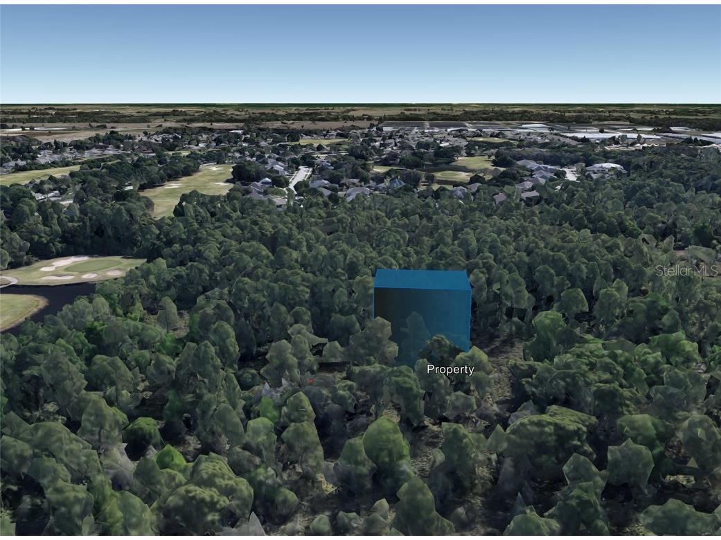 Chase Court Mount Dora FL 32757 O6141611 image1