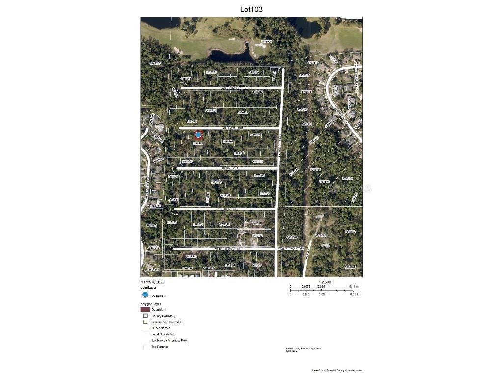 Chase - Lot 103 Court Mount Dora FL 32757 G5065997 image1