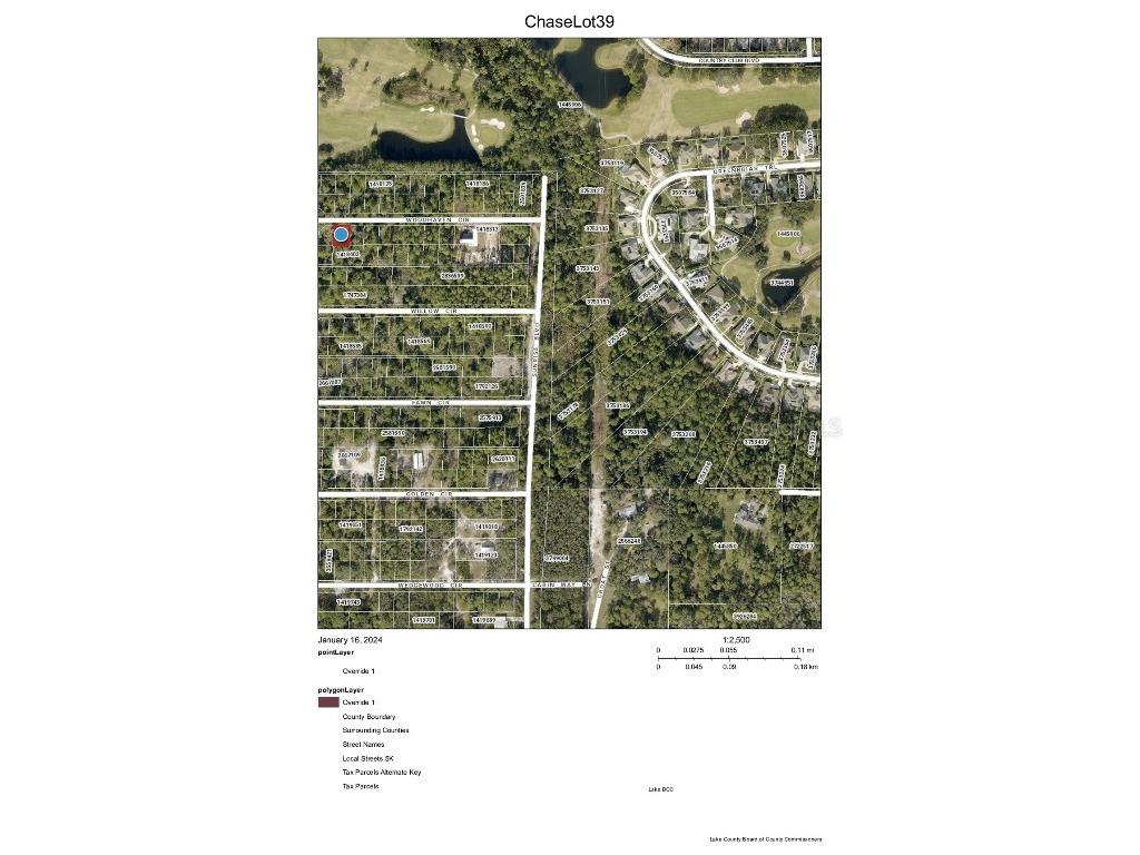 Chase - Lot 39 Court Mount Dora FL 32757 G5077291 image1