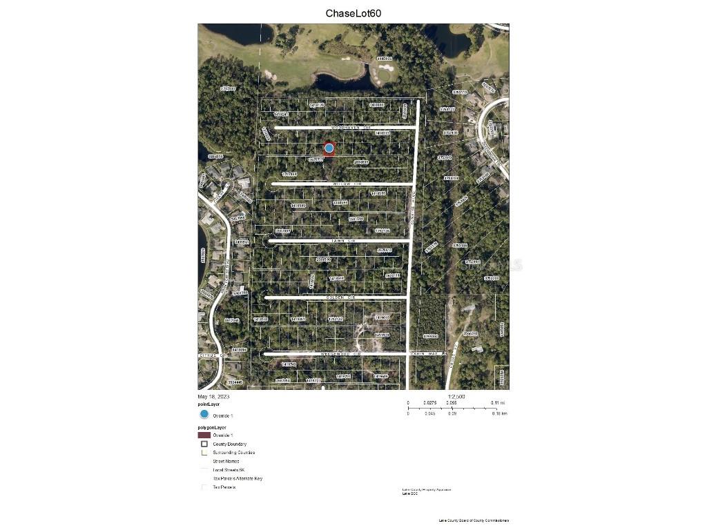 Chase Lot 60 Court Mount Dora FL 32757 G5068927 image1