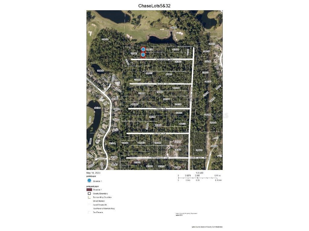 Chase Lots 5 & 32 Court Mount Dora FL 32757 G5068912 image1