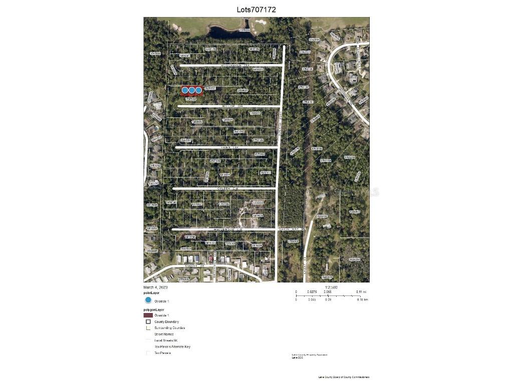 Chase Lots 70 - 72 Court Mount Dora FL 32757 G5066067 image1