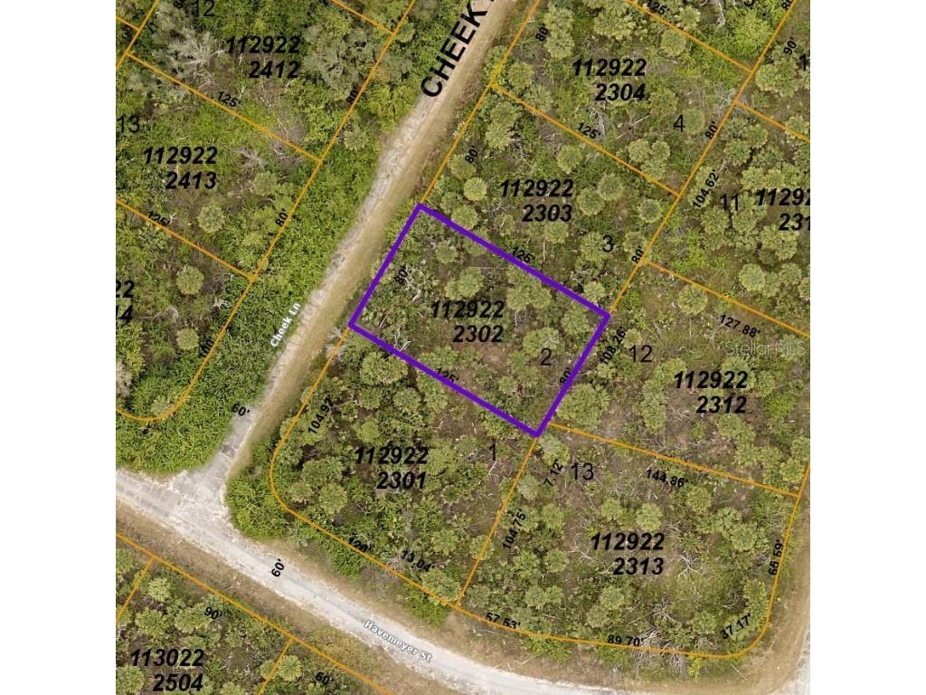 Cheek Lane North Port FL 34288 D6122505 image1