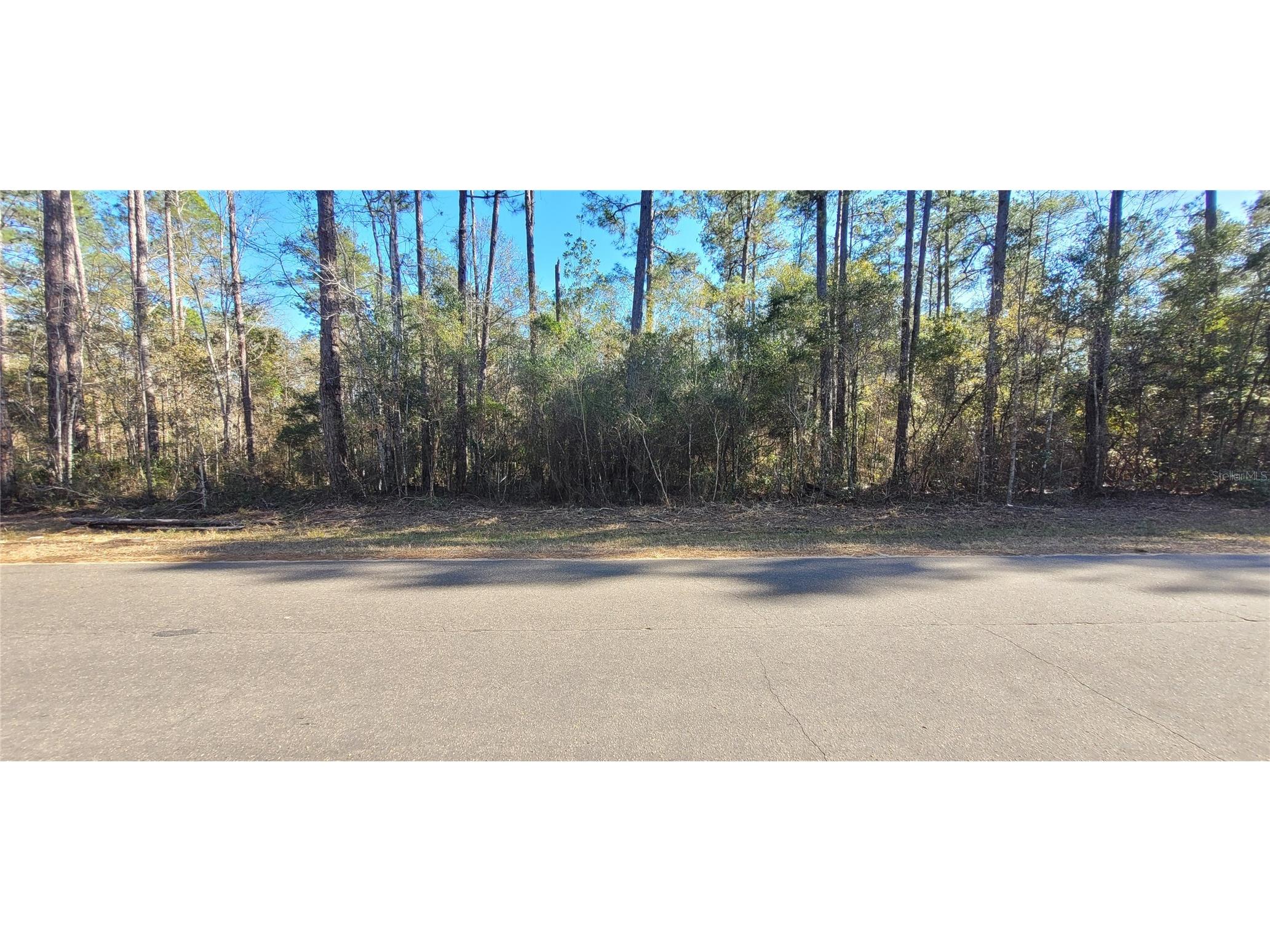 Cherokee Drive Sopchoppy FL 32358 TB8504406 image10