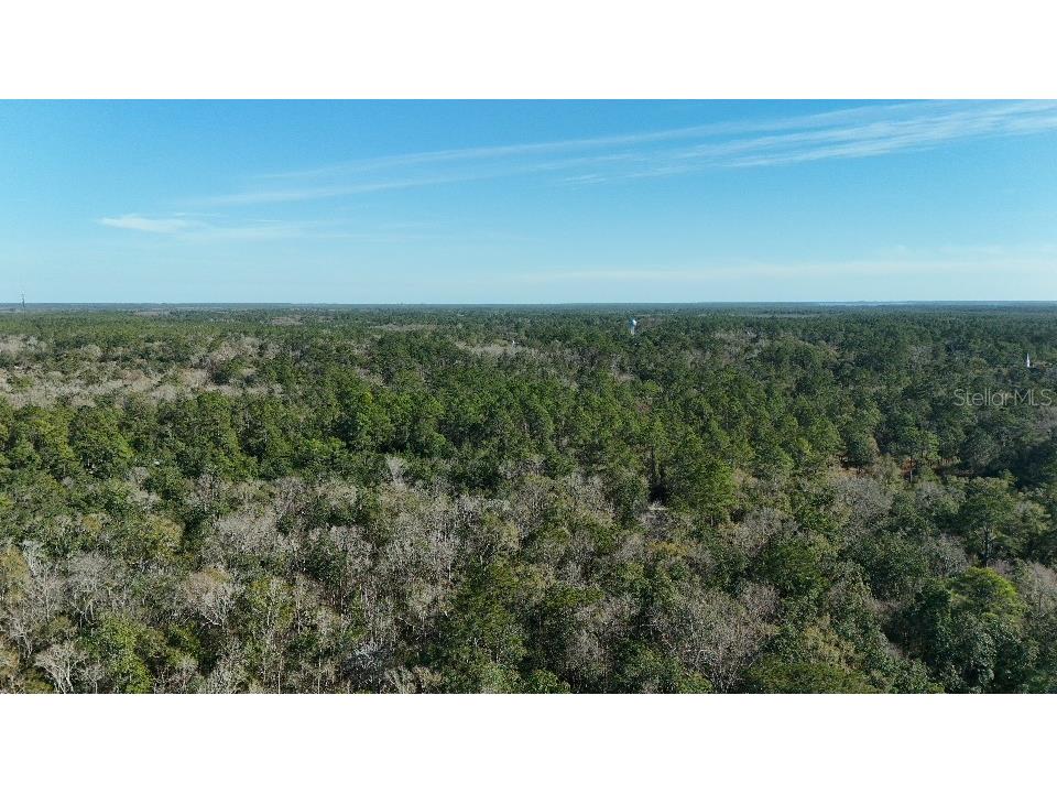 Cherokee Drive Sopchoppy FL 32358 TB8504406 image4
