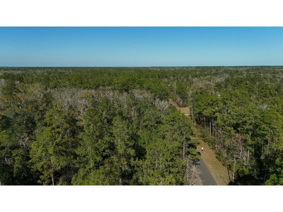 Cherokee Drive Sopchoppy FL 32358 TB8504406 image5