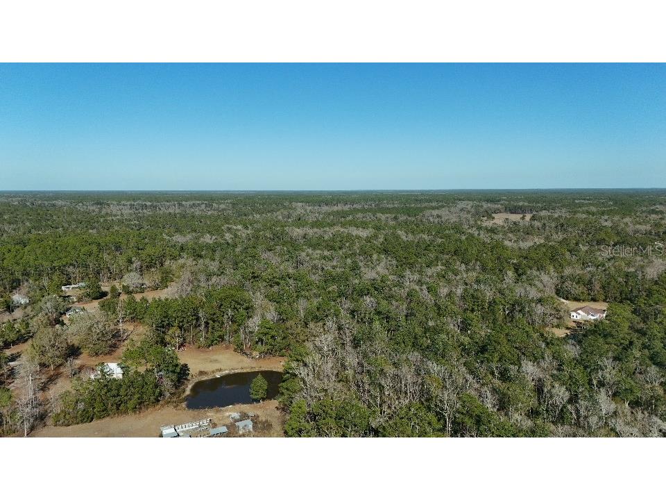 Cherokee Drive Sopchoppy FL 32358 TB8504406 image6