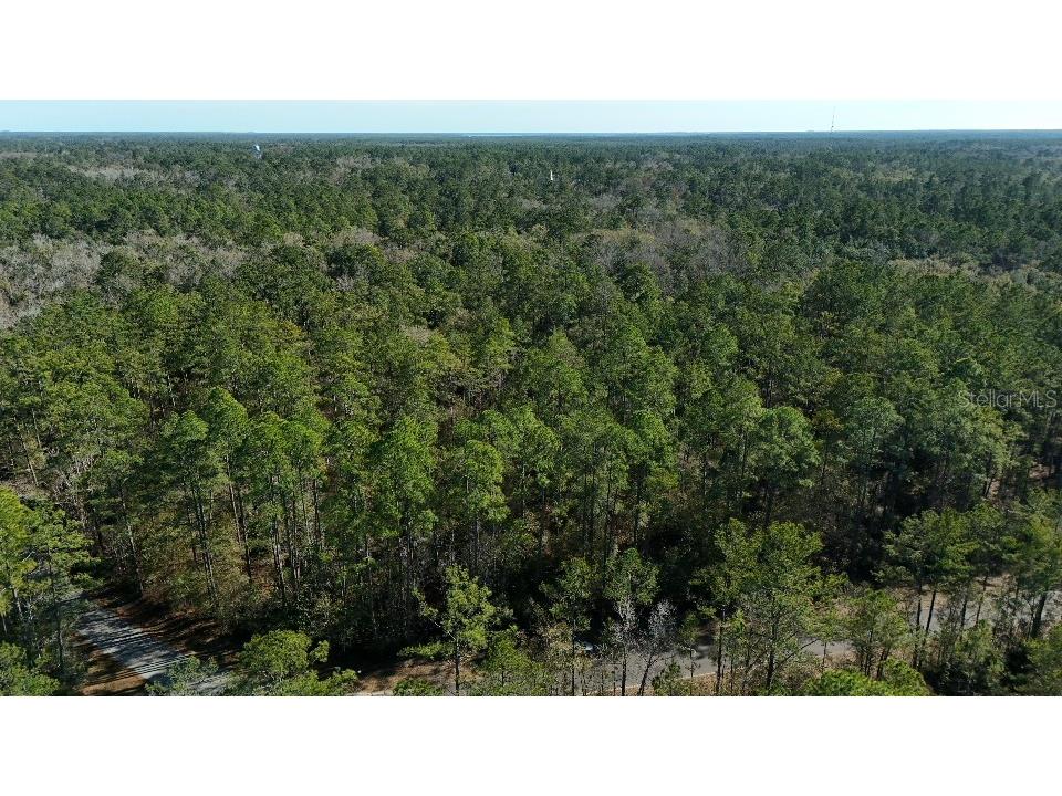Cherokee Drive Sopchoppy FL 32358 TB8504406 image7