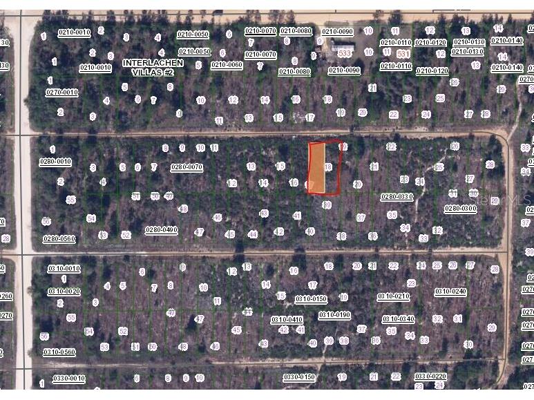 00 Cherry Interlachen FL 32148 OM657484 image2