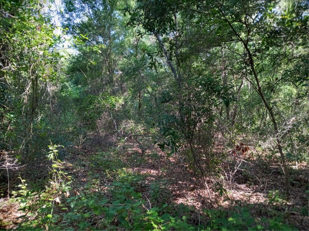 Cherry Lake Road Groveland FL 34736 - POND-NO NAME G5042367 image1