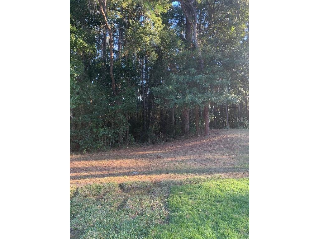 Cherry Ridge Land O Lakes FL 34639 TB8340560 image1