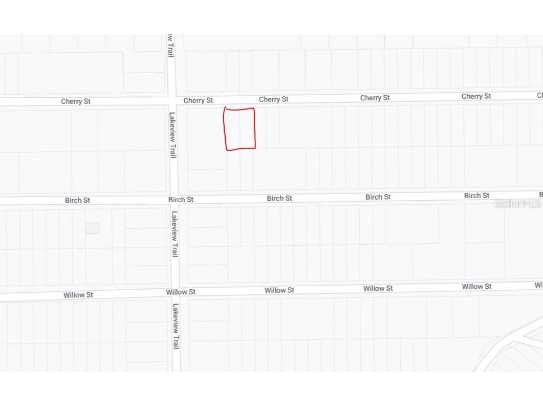 00 Cherry Street Interlachen FL 32148 OM654625 image3