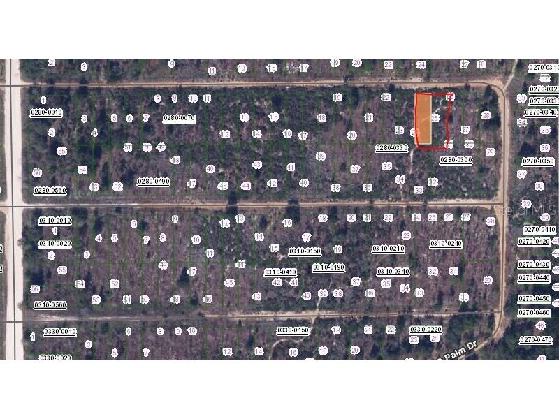 00 Cherry Street Interlachen FL 32148 OM657486 image2