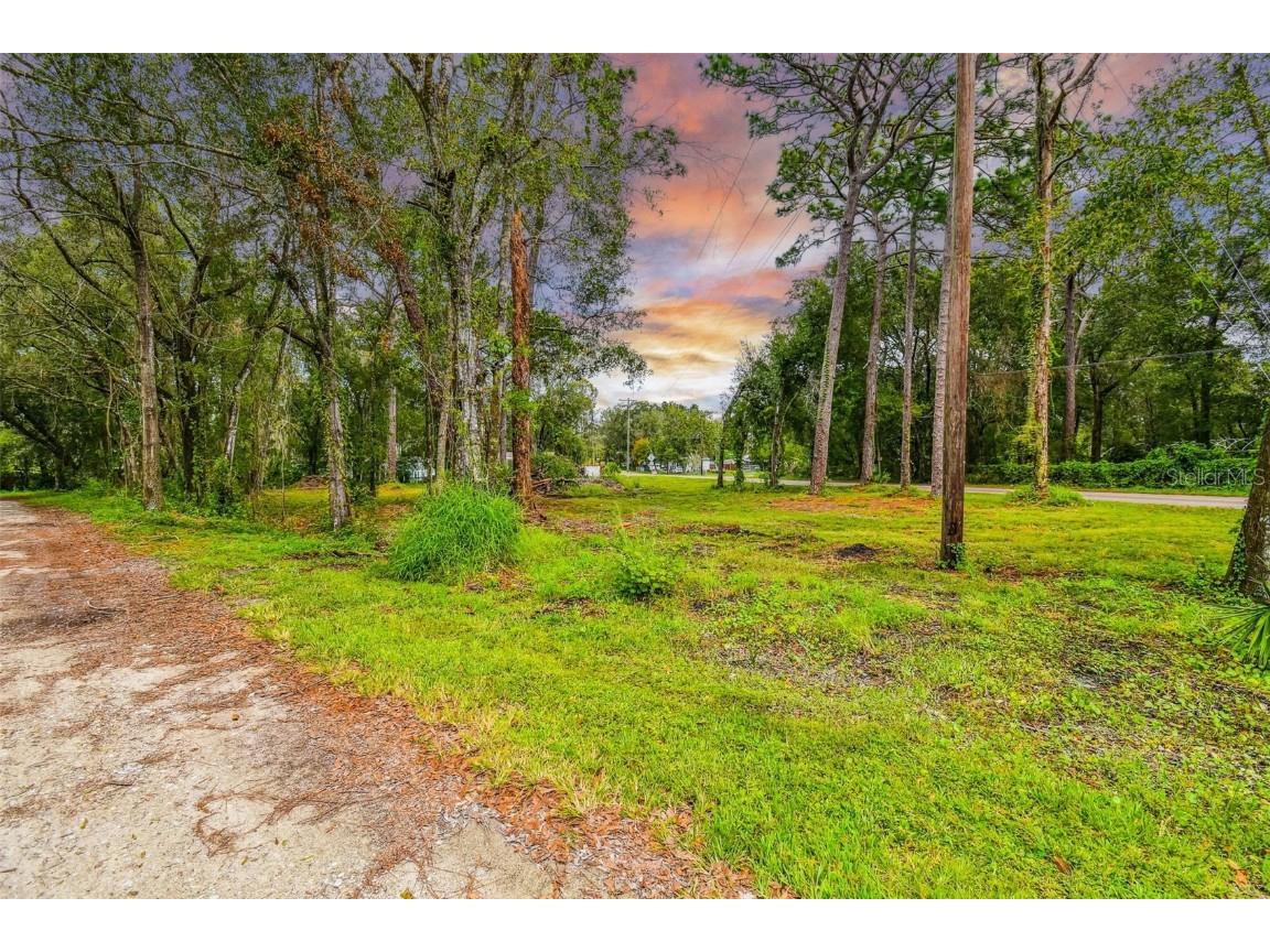 Chesapeake Drive Odessa FL 33556 T3439797 image1