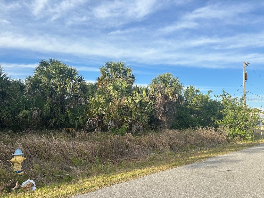 Chesebro Avenue North Port FL 34287 A4651428 image1