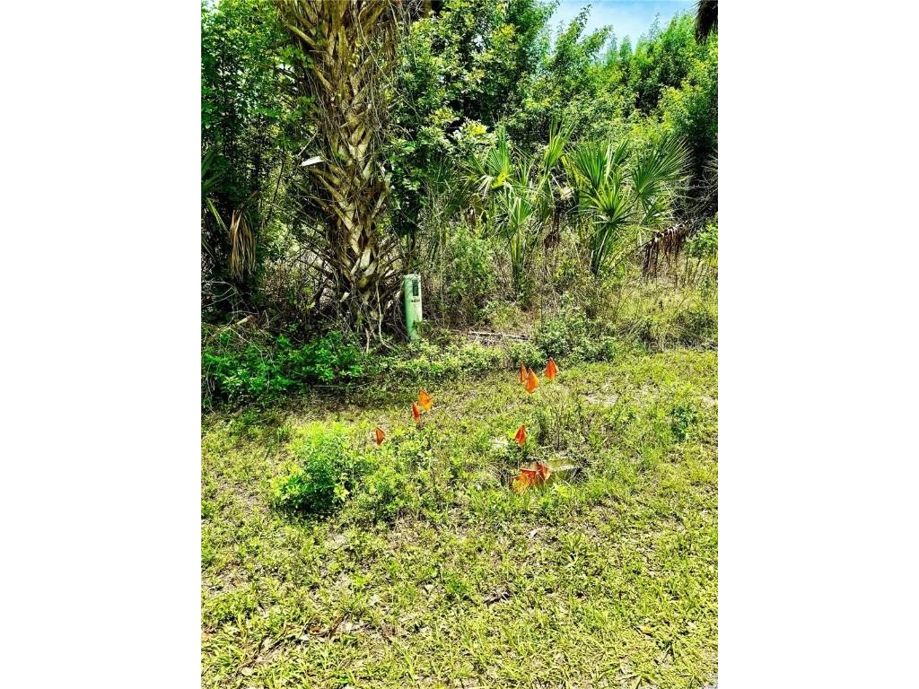 Chesebro Avenue North Port FL 34287 O6273927 image1