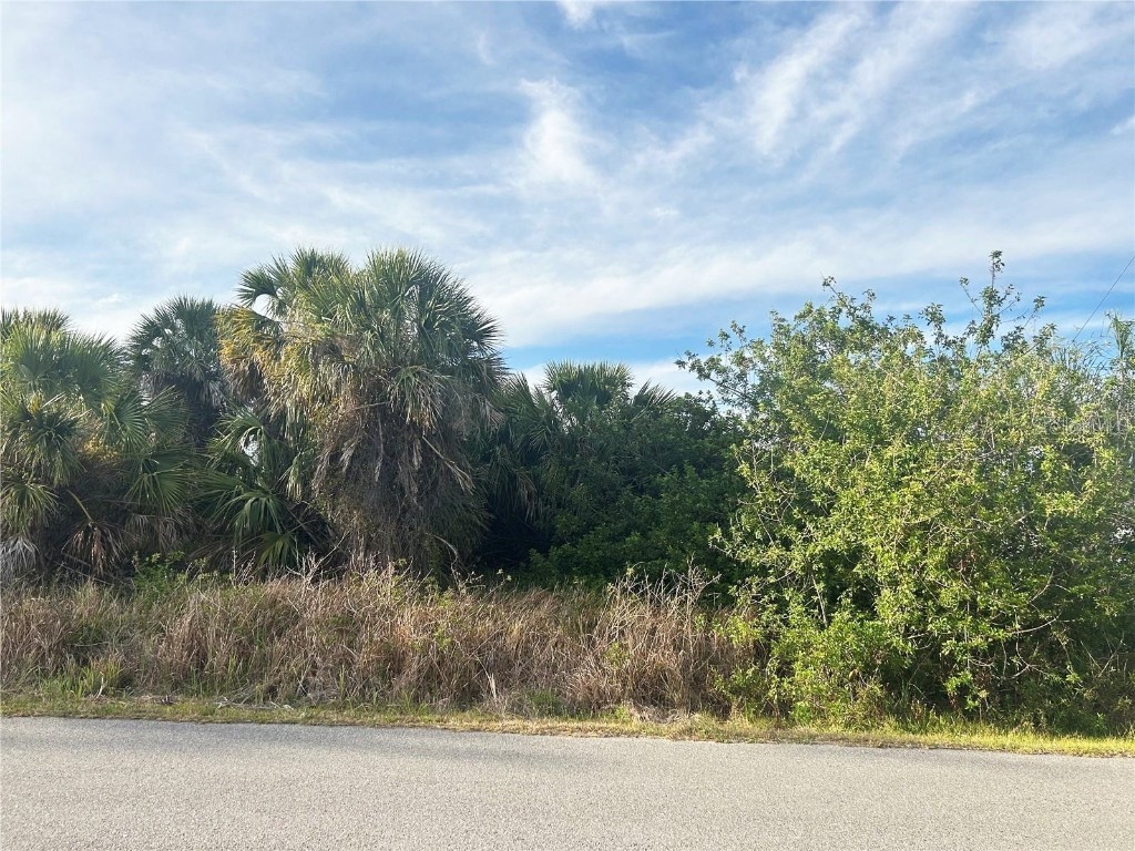 Chesebro Lot #3 Avenue North Port FL 34287 C7510493 image1