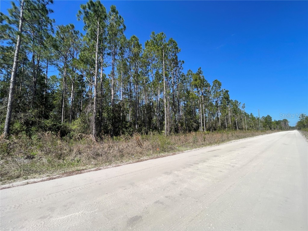 Chesser Hammock Road Pierson FL 32180 FC307592 image1