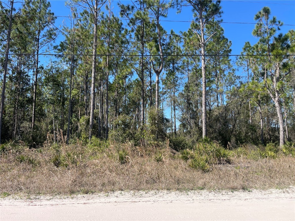 Chesser Hammock Road Pierson FL 32180 FC307592 image3