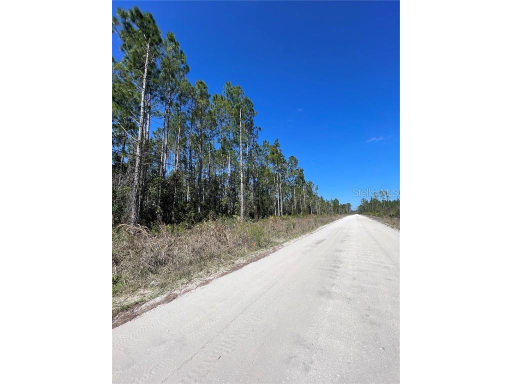 Chesser Hammock Road Pierson FL 32180 FC307592 image4