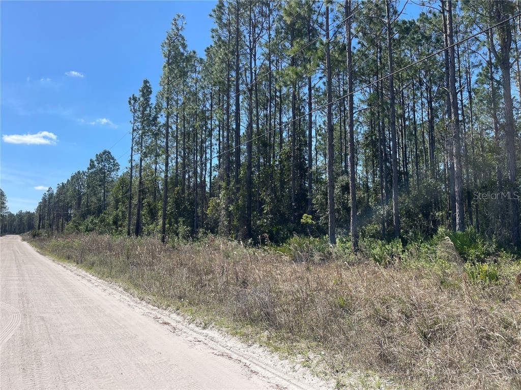 Chesser Hammock Road Pierson FL 32180 FC307592 image5