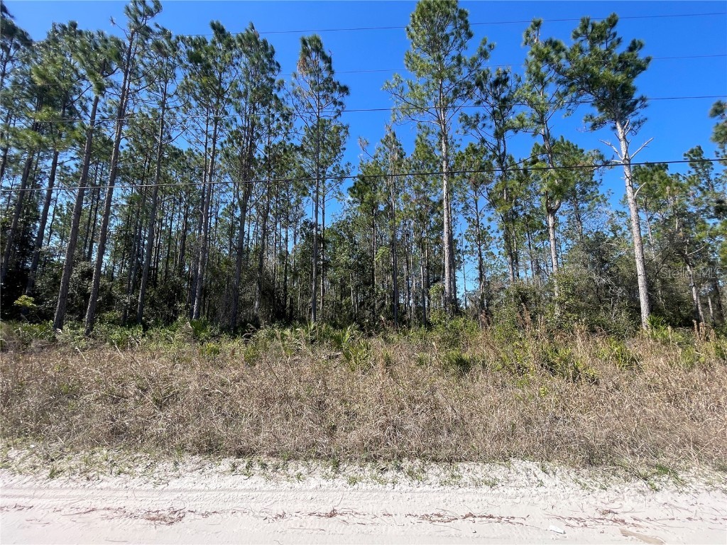 Chesser Hammock Road Pierson FL 32180 FC307592 image6