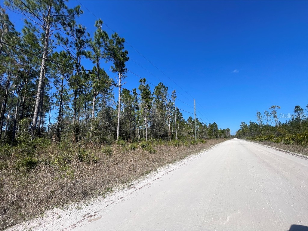 Chesser Hammock Road Pierson FL 32180 FC307592 image7