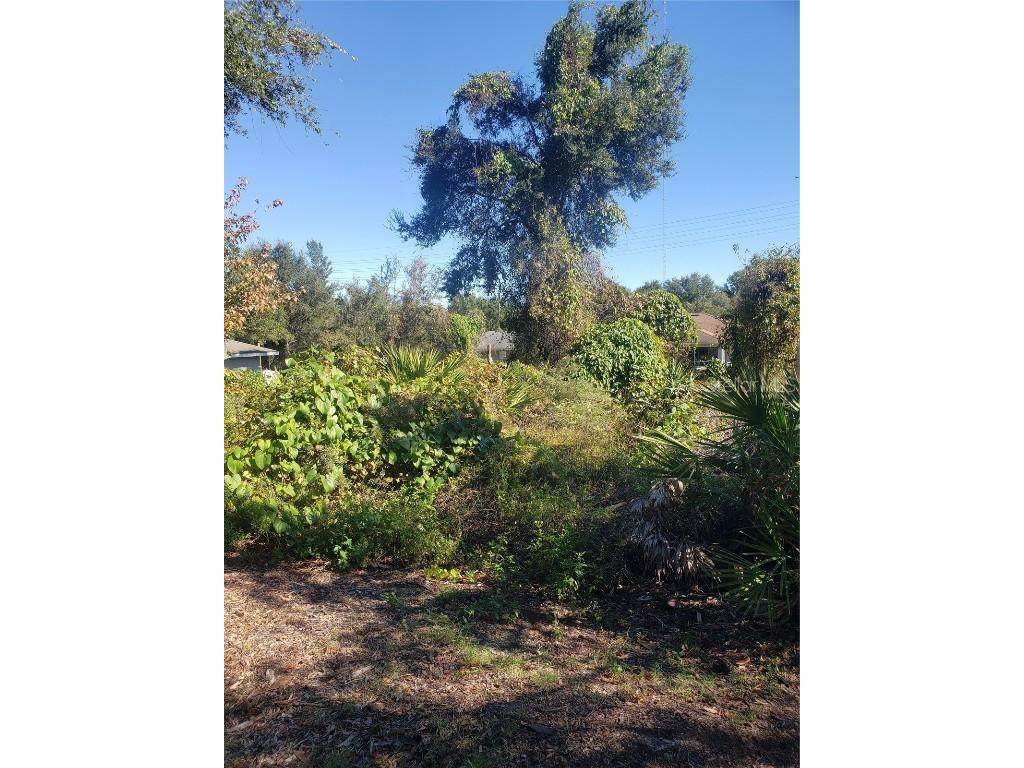 Chestnut Avenue Orange City FL 32763 O6260184 image1